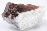 Rare, Red Villiaumite Crystal Section - Murmansk Oblast, Russia #195320-1